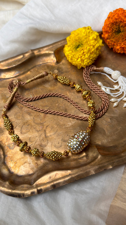 Sanskriti  Hasli